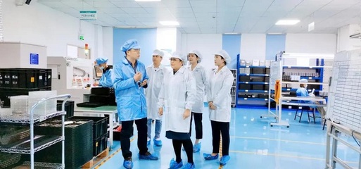 攜手共進，共創(chuàng)未來——深圳擔保集團蒞臨云里物里考察指導(dǎo)軟件開發(fā)工作